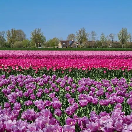 501a Op Recreatiepark De Wielen *