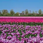 501a Op Recreatiepark De Wielen *